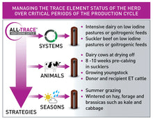 Load image into Gallery viewer, All Trace High Iodine bolus (20 box)