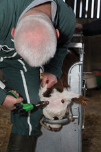 Load image into Gallery viewer, Arkos pistol grip dehorner