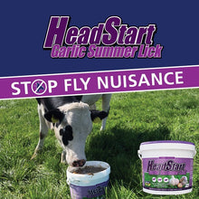 Load image into Gallery viewer, Headstart Garlic Lick buckets