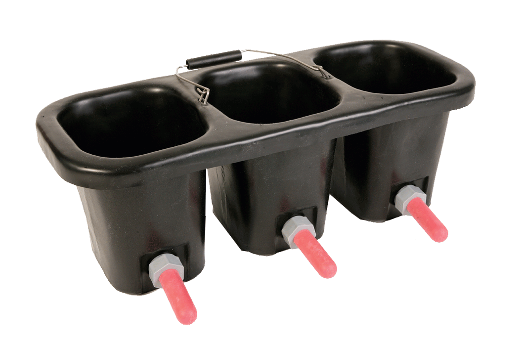 Calf Bucket Triple C/W Teats and Valves