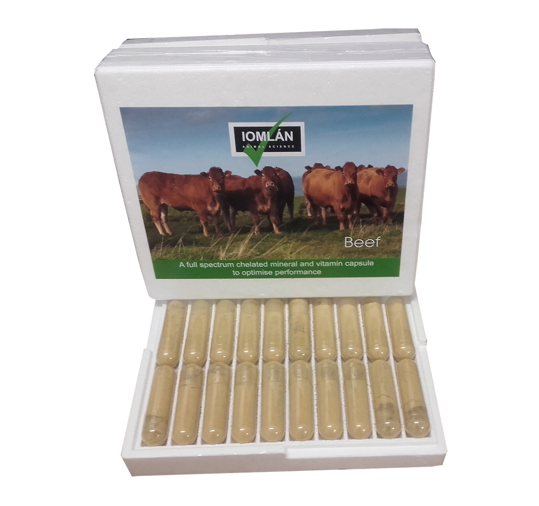 Beef capsules (20 boluses/10 cow box)