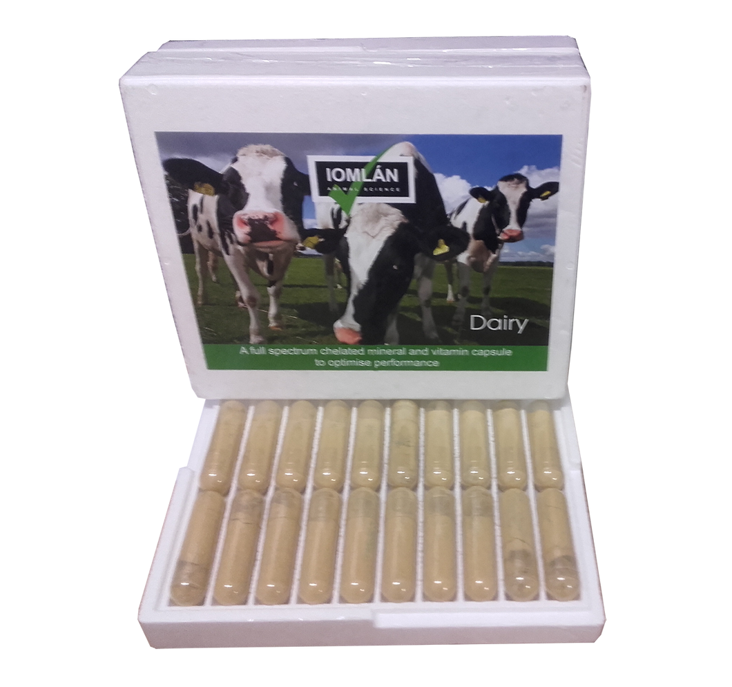 Dairy capsules (20 boluses/10 cow box)