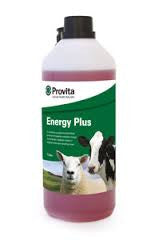 Provita energy plus