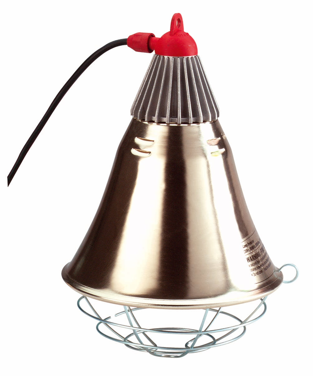 Infrared bulb holder