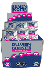 Load image into Gallery viewer, Rumen Booster sachet
