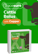 Load image into Gallery viewer, Tracesure Cattle Boluses with Copper 10&#39;s
