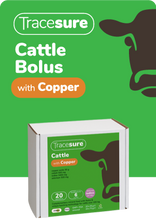 Load image into Gallery viewer, Tracesure Cattle Boluses with Copper 20&#39;s
