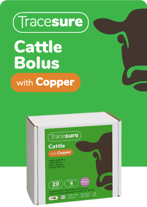 Tracesure Cattle Boluses with Copper 20's
