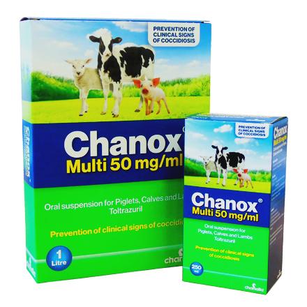 Chanox