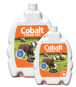 Cobalt Power pak