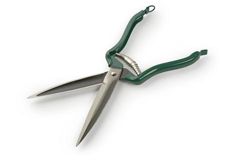 Burgon & Ball dressing shears