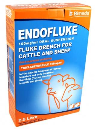 Endofluke