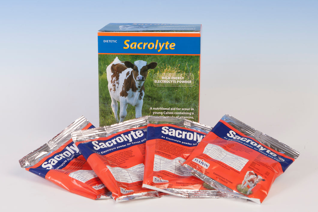 Sacrolyte 100g Sachet